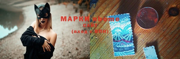 мдпв Инта