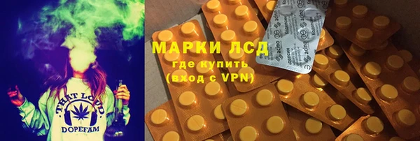 мдпв Инта