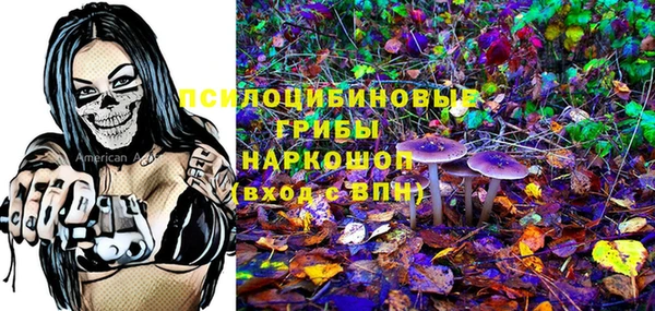 меф Инсар