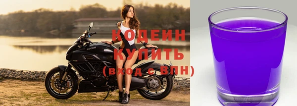 мдпв Инта