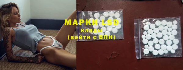 мдпв Инта