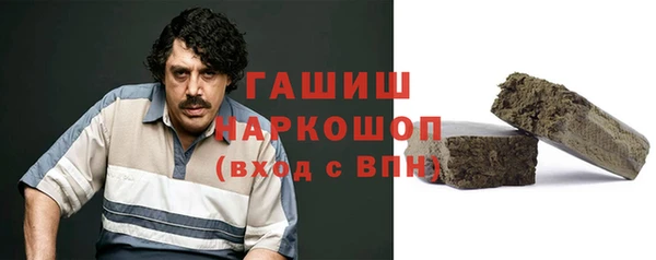 мдпв Инта