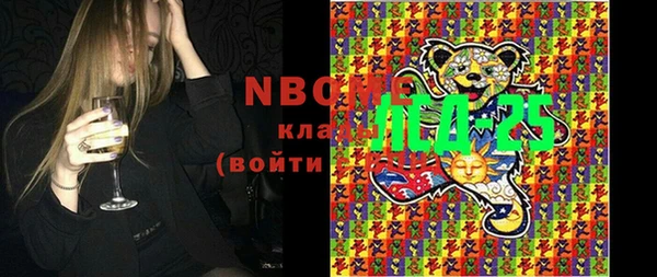 мдпв Инта