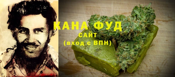 мдпв Инта