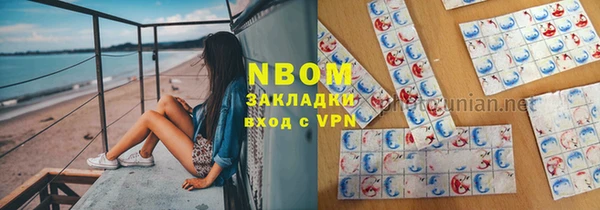 мдпв Инта