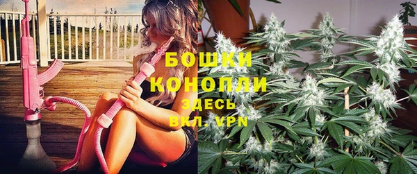 мдпв Инта
