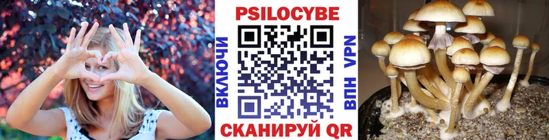 Галлюциногенные грибы ЛСД  Купить  Чердынь 
